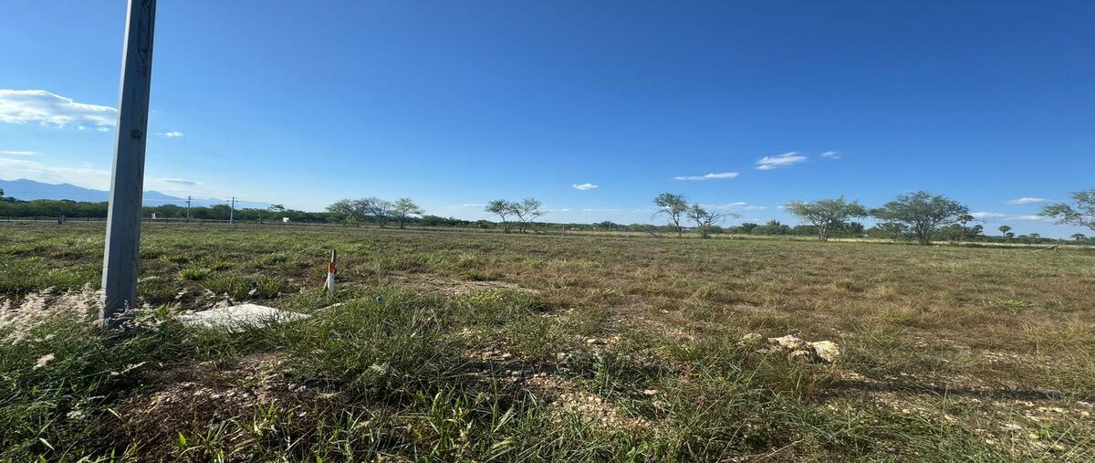 Foto de terreno habitacional en carretera a. rayones kilometro , el pastor, montemorelos, nuevo león, 0 foto 03 Foto de terreno habitacional en venta en carretera a. rayones kilometro , el pastor, montemorelos, nuevo león, 0 No. 03
