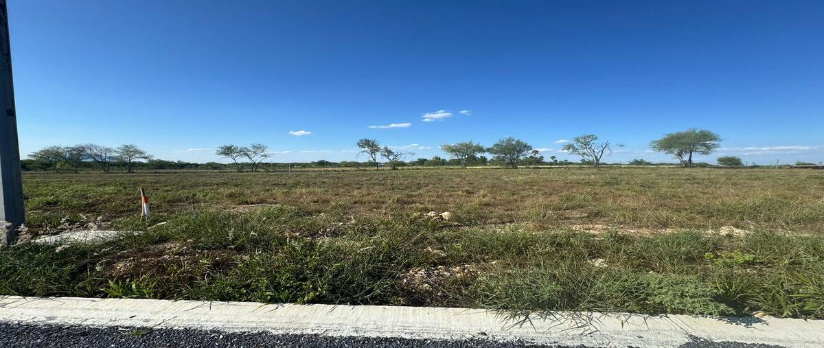 Foto de terreno habitacional en carretera a. rayones kilometro , el pastor, montemorelos, nuevo león, 0 foto 05 Foto de terreno habitacional en venta en carretera a. rayones kilometro , el pastor, montemorelos, nuevo león, 0 No. 05