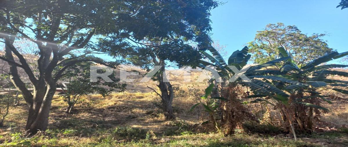 Foto de terreno comercial en venta en carretera a saltillo , san francisco ixcatan, zapopan, jalisco, 0 No. 03