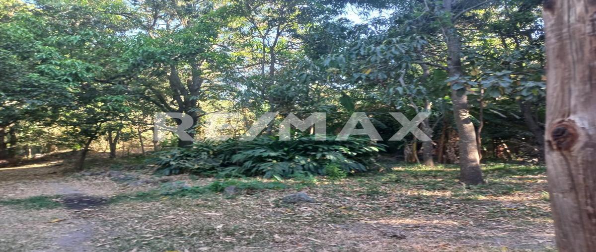 Foto de terreno comercial en venta en carretera a saltillo , san francisco ixcatan, zapopan, jalisco, 0 No. 05