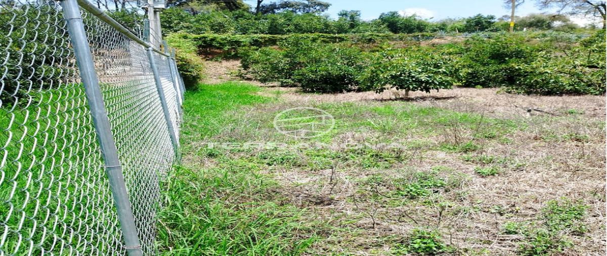 Foto de terreno habitacional en venta en carretera a san andres ixtlan , san andres ixtlan, gómez farías, jalisco, 28848029 No. 05