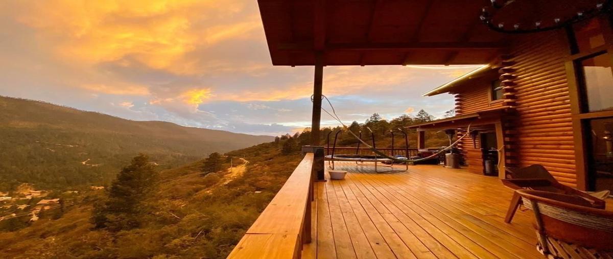 Foto de rancho en venta en carretera a san antonio de las alazanas , san antonio de las alazanas, arteaga, coahuila de zaragoza, 30046999 No. 03