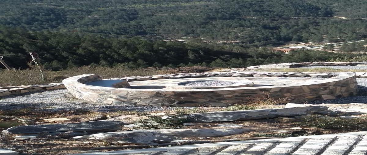 Foto de rancho en venta en carretera a san antonio de las alazanas , san antonio de las alazanas, arteaga, coahuila de zaragoza, 30046999 No. 04