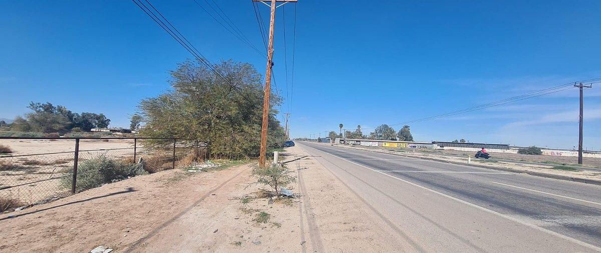 Foto de terreno habitacional en venta en carretera a san felipe , cerro prieto 4, mexicali, baja california, 0 No. 03