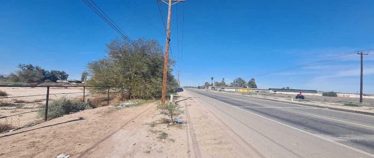 Foto de terreno habitacional en carretera a san felipe , terrenos indios, mexicali, baja california, 28267752 foto 01 Foto de terreno habitacional en renta en carretera a san felipe , terrenos indios, mexicali, baja california, 28267752 No. 01
