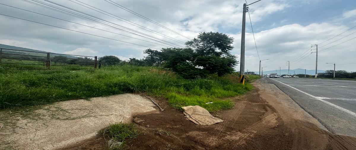 Foto de terreno comercial en venta en carretera a san isidro mazatepec , santa cruz de las flores, tlajomulco de zúñiga, jalisco, 0 No. 03