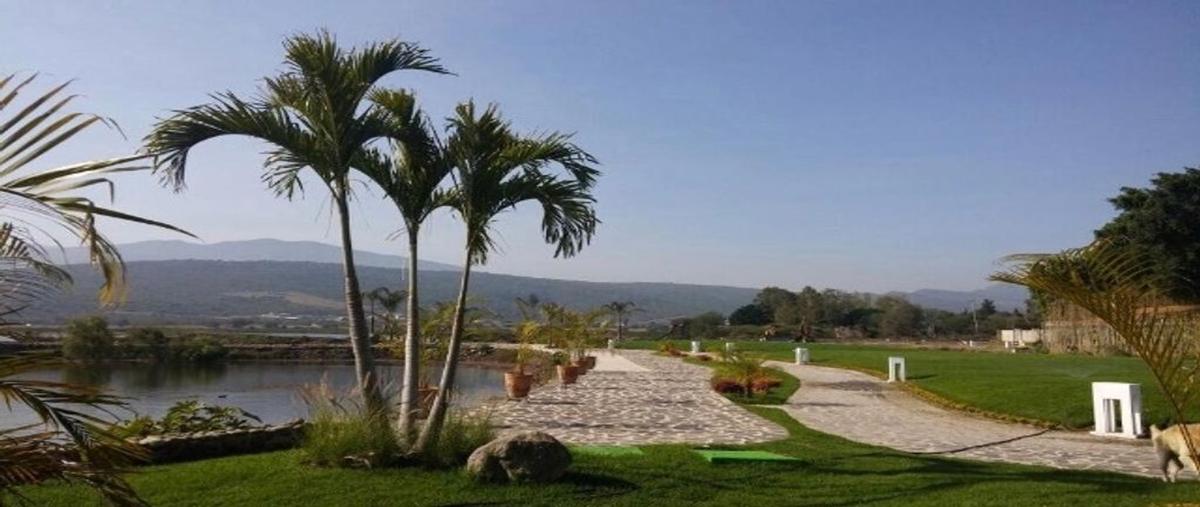 Foto de terreno habitacional en venta en carretera a san juan 66 santa rosa , santa rosa, ixtlahuacán de los membrillos, jalisco, 26492513 No. 04