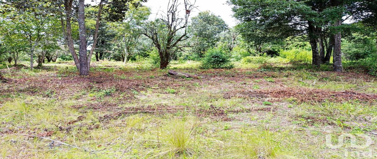 Foto de terreno habitacional en venta en carretera a san juan chamula , la quinta san martín, san cristóbal de las casas, chiapas, 0 No. 05