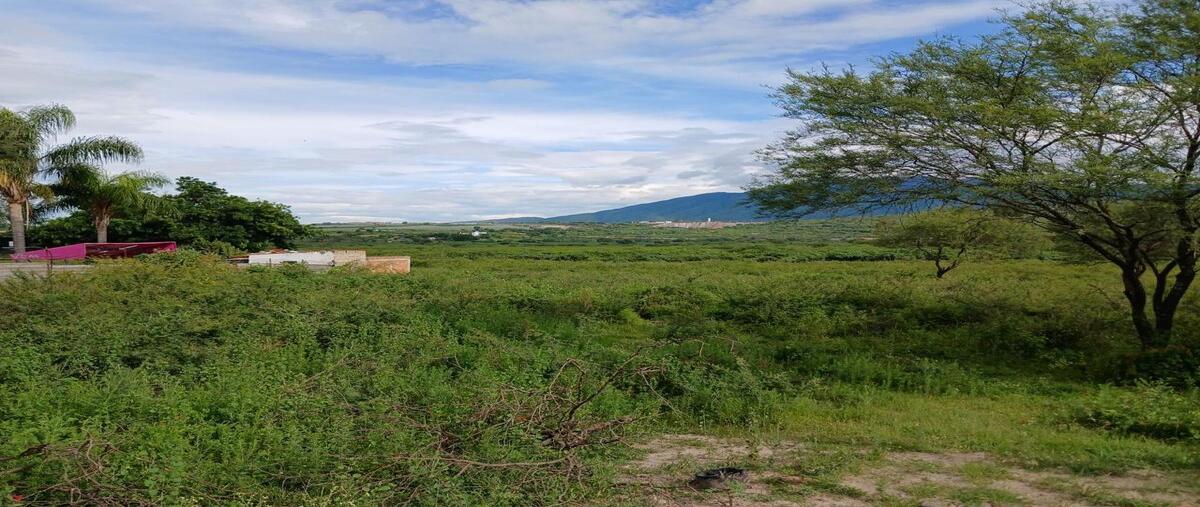 Foto de terreno habitacional en carretera a san juan evangelista , ixtlahuacan de los membrillos, ixtlahuacán de los membrillos, jalisco, 0 foto 04 Foto de terreno habitacional en venta en carretera a san juan evangelista , ixtlahuacan de los membrillos, ixtlahuacán de los membrillos, jalisco, 0 No. 04