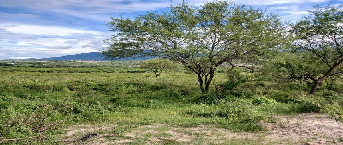 Foto de terreno habitacional en carretera a san juan evangelista , ixtlahuacan de los membrillos, ixtlahuacán de los membrillos, jalisco, 0 foto 05 Foto de terreno habitacional en venta en carretera a san juan evangelista , ixtlahuacan de los membrillos, ixtlahuacán de los membrillos, jalisco, 0 No. 05
