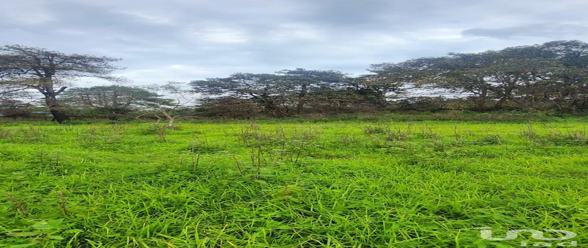 Foto de terreno comercial en carretera a san juan tepecoculco , san juan, atlautla, méxico, 30367785 foto 01 Foto de terreno comercial en venta en carretera a san juan tepecoculco , san juan, atlautla, méxico, 30367785 No. 01