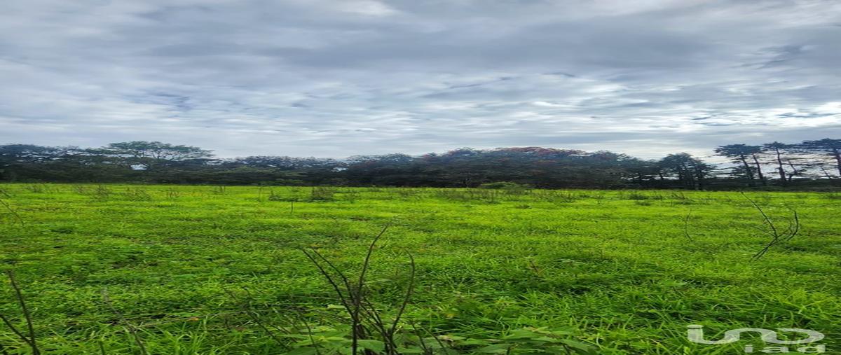 Foto de terreno comercial en carretera a san juan tepecoculco , san juan, atlautla, méxico, 30367785 foto 02 Foto de terreno comercial en venta en carretera a san juan tepecoculco , san juan, atlautla, méxico, 30367785 No. 02