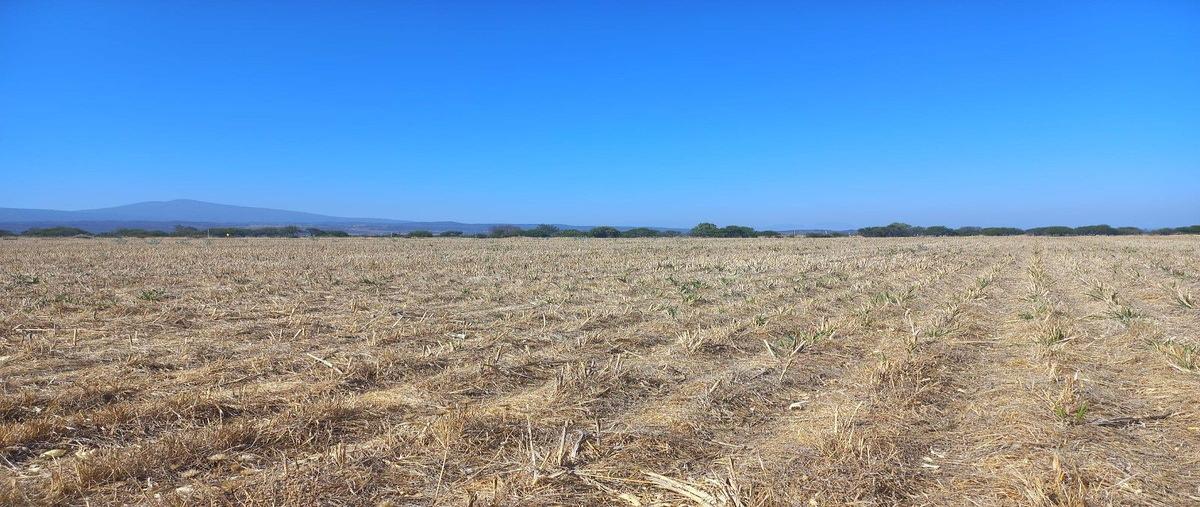 Foto de terreno comercial en carretera a san nicolás de la condesa , tarimoro, tarimoro, guanajuato, 30992388 foto 03 Foto de terreno comercial en renta en carretera a san nicolás de la condesa , tarimoro, tarimoro, guanajuato, 30992388 No. 03