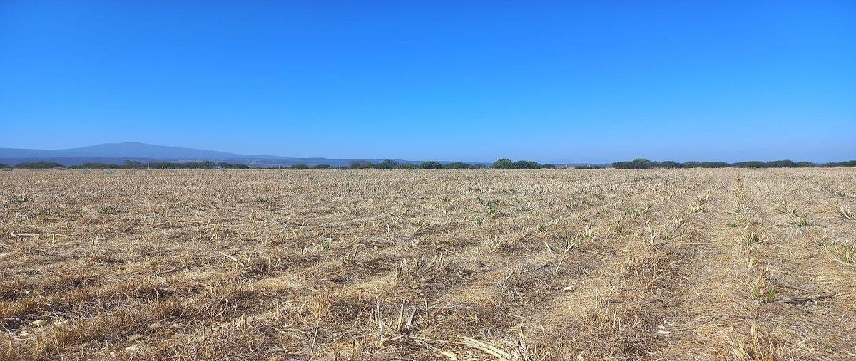 Foto de terreno comercial en venta en carretera a san nicolás de la condesa , tarimoro, tarimoro, guanajuato, 0 No. 04