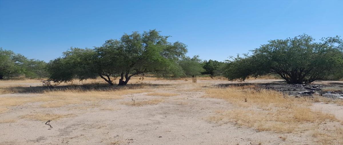 Foto de terreno habitacional en venta en carretera a san pedro el saucito kilometro 2 , villa dorada, hermosillo, sonora, 0 No. 03