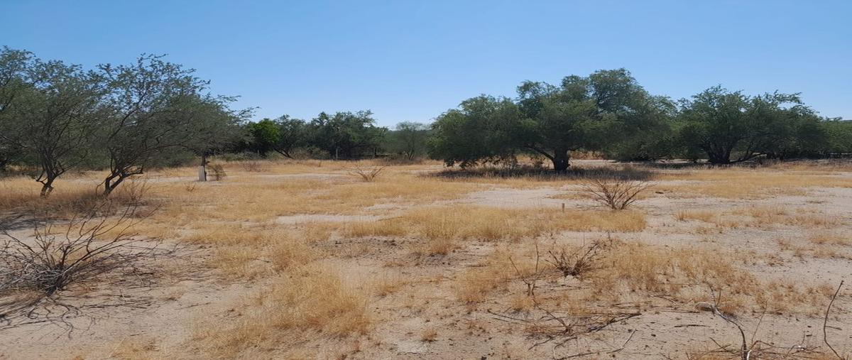 Foto de terreno habitacional en venta en carretera a san pedro el saucito kilometro 2 , villa dorada, hermosillo, sonora, 0 No. 04