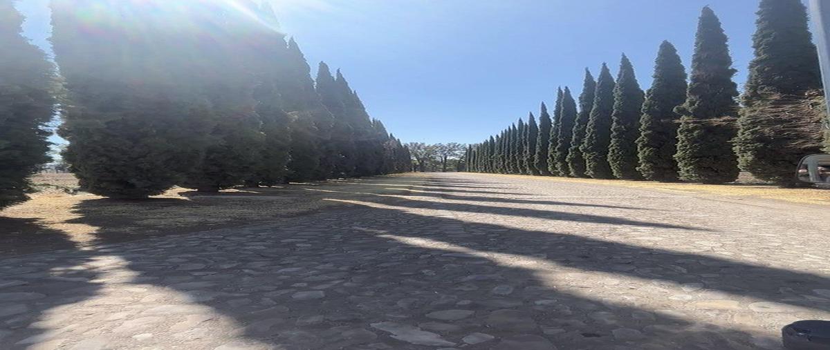 Foto de terreno habitacional en venta en carretera a santa bárbara , apapátaro, huimilpan, querétaro, 0 No. 04