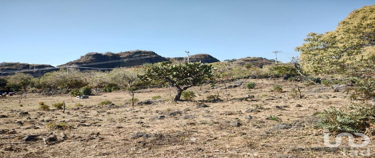 Foto de terreno habitacional en venta en carretera a santo domingo ocotitlán 92, santo domingo ocotitlán, tepoztlán, morelos, 28723942 No. 03