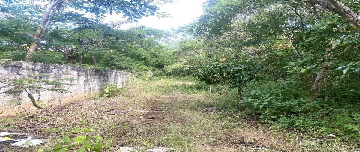 Foto de terreno habitacional en venta en carretera a suchiapa kilometro 7+500 , el jobo, tuxtla gutiérrez, chiapas, 0 No. 04