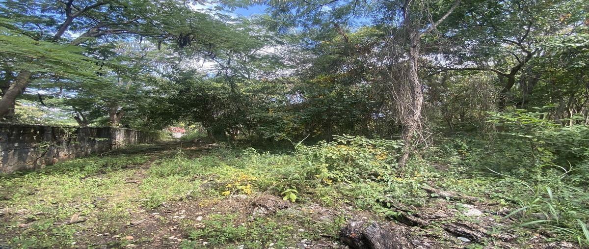 Foto de terreno habitacional en venta en carretera a suchiapa kilometro 7+500 , el jobo, tuxtla gutiérrez, chiapas, 0 No. 05