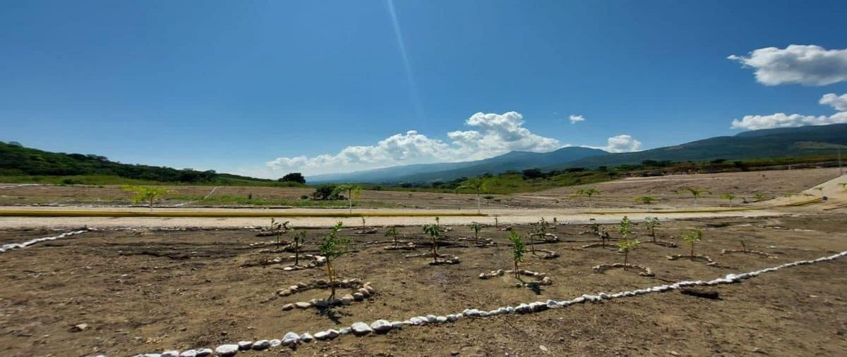 Foto de terreno habitacional en venta en carretera a suchiapa , real de bosque, tuxtla gutiérrez, chiapas, 0 No. 03