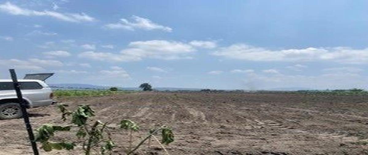 Foto de terreno habitacional en venta en carretera a talasanta cruz de las flores , san isidro mazatepec, tala, jalisco, 27805772 No. 03
