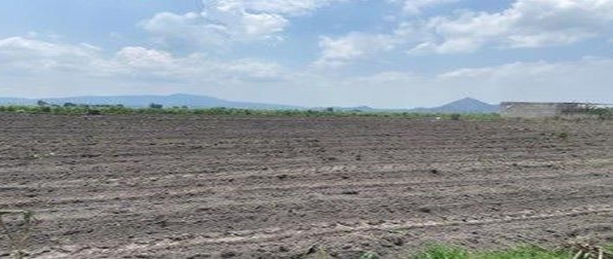Foto de terreno habitacional en venta en carretera a talasanta cruz de las flores , san isidro mazatepec, tala, jalisco, 27805772 No. 04