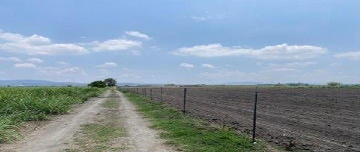 Foto de terreno habitacional en venta en carretera a talasanta cruz de las flores , san isidro mazatepec, tala, jalisco, 27805772 No. 05