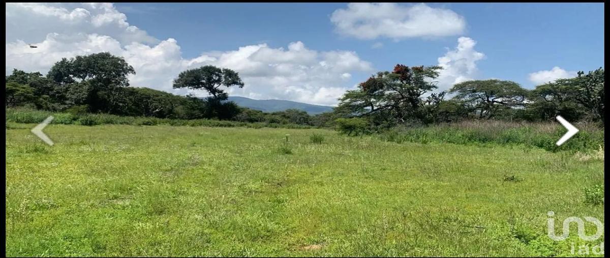 Foto de terreno habitacional en venta en carretera a tapalpa 12396, atemajac de brizuela, atemajac de brizuela, jalisco, 30624148 No. 04