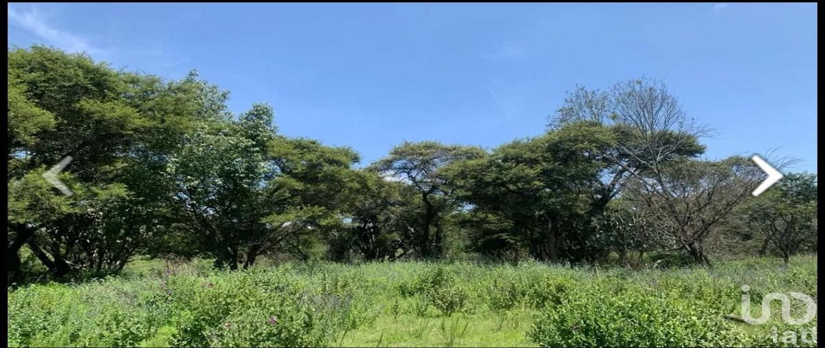 Foto de terreno habitacional en venta en carretera a tapalpa 12396, atemajac de brizuela, atemajac de brizuela, jalisco, 30624148 No. 05