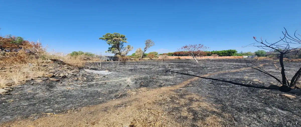 Foto de terreno habitacional en venta en carretera a tenextepec , la joya (agropecuaria tenextepec), atlixco, puebla, 30219456 No. 03