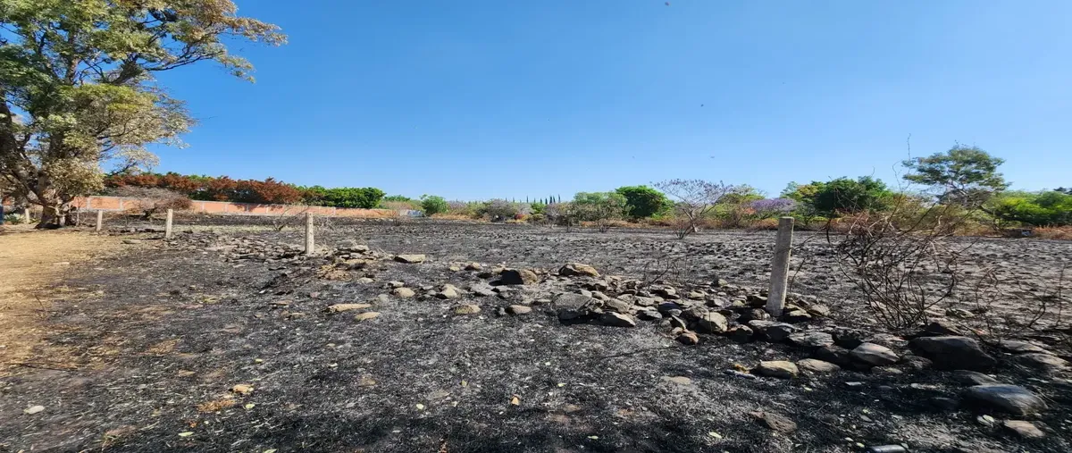 Foto de terreno habitacional en venta en carretera a tenextepec , la joya (agropecuaria tenextepec), atlixco, puebla, 30219456 No. 05