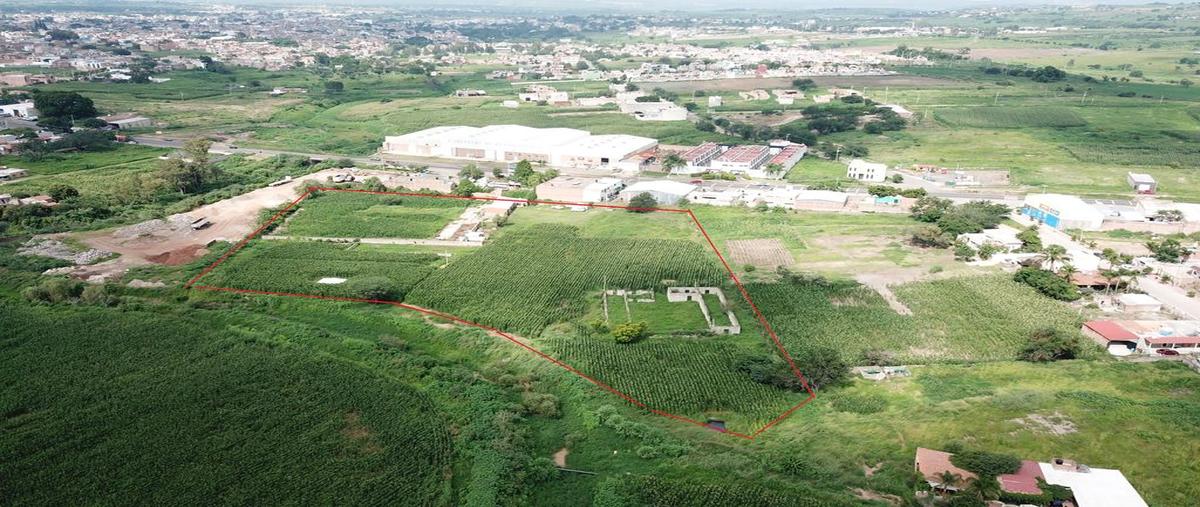 Foto de terreno comercial en venta en carretera a tepatitlán kilometro 8, los tepetates, zapotlanejo, jalisco, 0 No. 04
