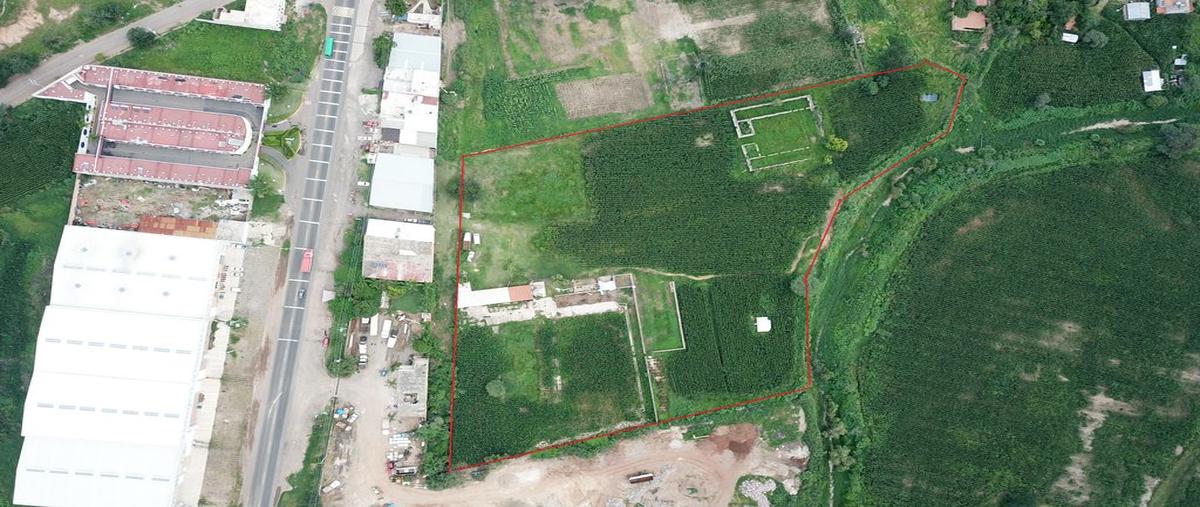 Foto de terreno comercial en venta en carretera a tepatitlán kilometro 8, los tepetates, zapotlanejo, jalisco, 0 No. 05