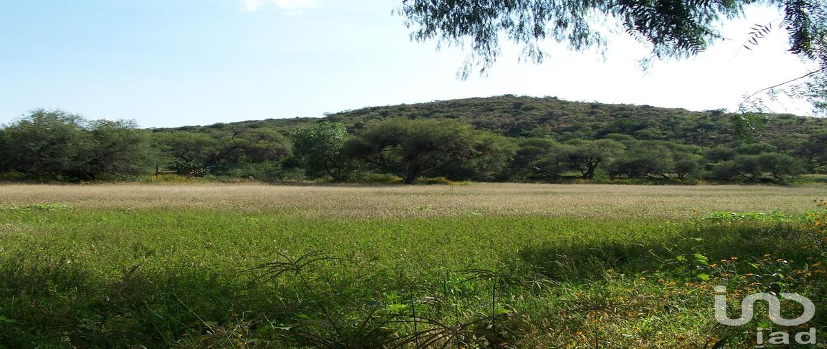 Foto de terreno habitacional en venta en carretera a tierra nueva , el piquín, tierra nueva, san luis potosí, 31061464 No. 05