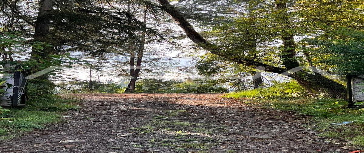 Foto de terreno habitacional en carretera a toluca , cuadrilla de dolores, valle de bravo, méxico, 0 foto 01 Foto de terreno habitacional en venta en carretera a toluca , cuadrilla de dolores, valle de bravo, méxico, 0 No. 01