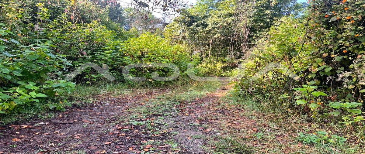 Foto de terreno habitacional en carretera a toluca , cuadrilla de dolores, valle de bravo, méxico, 0 foto 02 Foto de terreno habitacional en venta en carretera a toluca , cuadrilla de dolores, valle de bravo, méxico, 0 No. 02