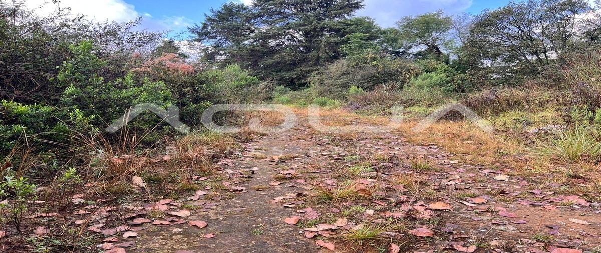Foto de terreno habitacional en carretera a toluca , cuadrilla de dolores, valle de bravo, méxico, 0 foto 03 Foto de terreno habitacional en venta en carretera a toluca , cuadrilla de dolores, valle de bravo, méxico, 0 No. 03