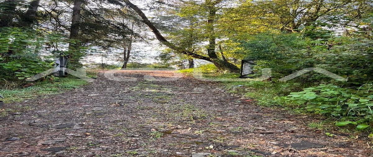 Foto de terreno habitacional en carretera a toluca , cuadrilla de dolores, valle de bravo, méxico, 0 foto 05 Foto de terreno habitacional en venta en carretera a toluca , cuadrilla de dolores, valle de bravo, méxico, 0 No. 05
