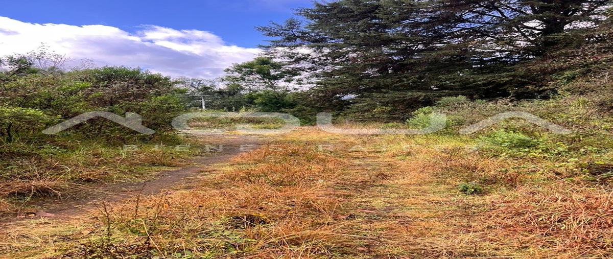 Foto de terreno habitacional en carretera a toluca , cuadrilla de dolores, valle de bravo, méxico, 0 foto 06 Foto de terreno habitacional en venta en carretera a toluca , cuadrilla de dolores, valle de bravo, méxico, 0 No. 06