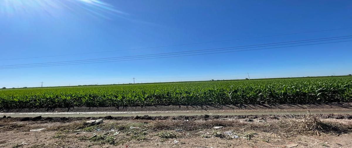 Foto de terreno habitacional en venta en carretera a villa juárez , balbuena, navolato, sinaloa, 24020056 No. 03