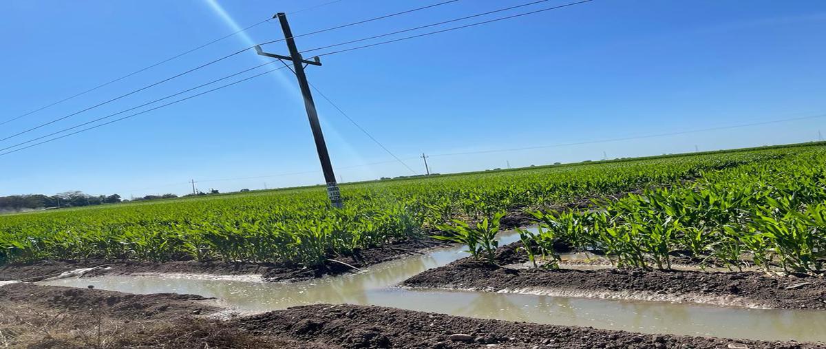 Foto de terreno habitacional en venta en carretera a villa juárez , balbuena, navolato, sinaloa, 24020056 No. 04