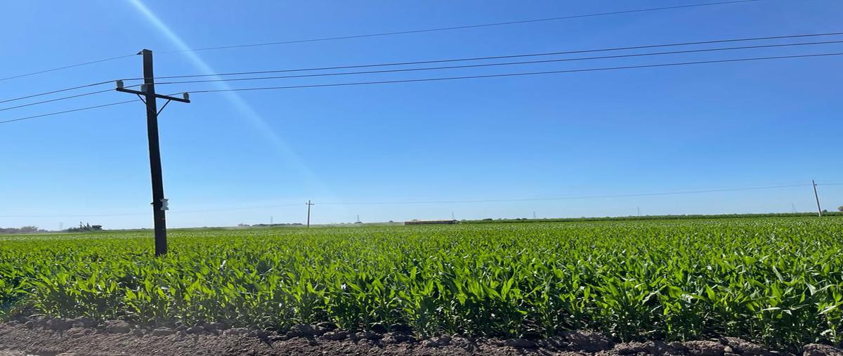 Foto de terreno habitacional en venta en carretera a villa juárez , balbuena, navolato, sinaloa, 24020056 No. 05