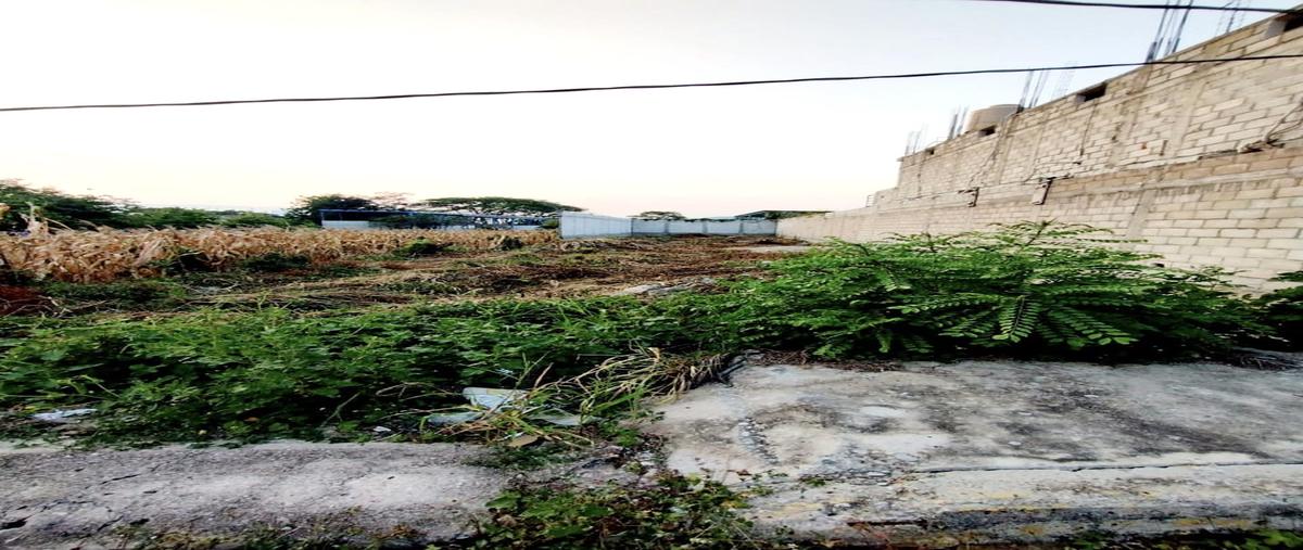 Foto de terreno habitacional en carretera a villaflores 133 , suchiapa, suchiapa, chiapas, 0 foto 02 Foto de terreno habitacional en venta en carretera a villaflores 133 , suchiapa, suchiapa, chiapas, 0 No. 02