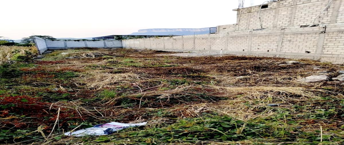 Foto de terreno habitacional en carretera a villaflores 133 , suchiapa, suchiapa, chiapas, 0 foto 04 Foto de terreno habitacional en venta en carretera a villaflores 133 , suchiapa, suchiapa, chiapas, 0 No. 04