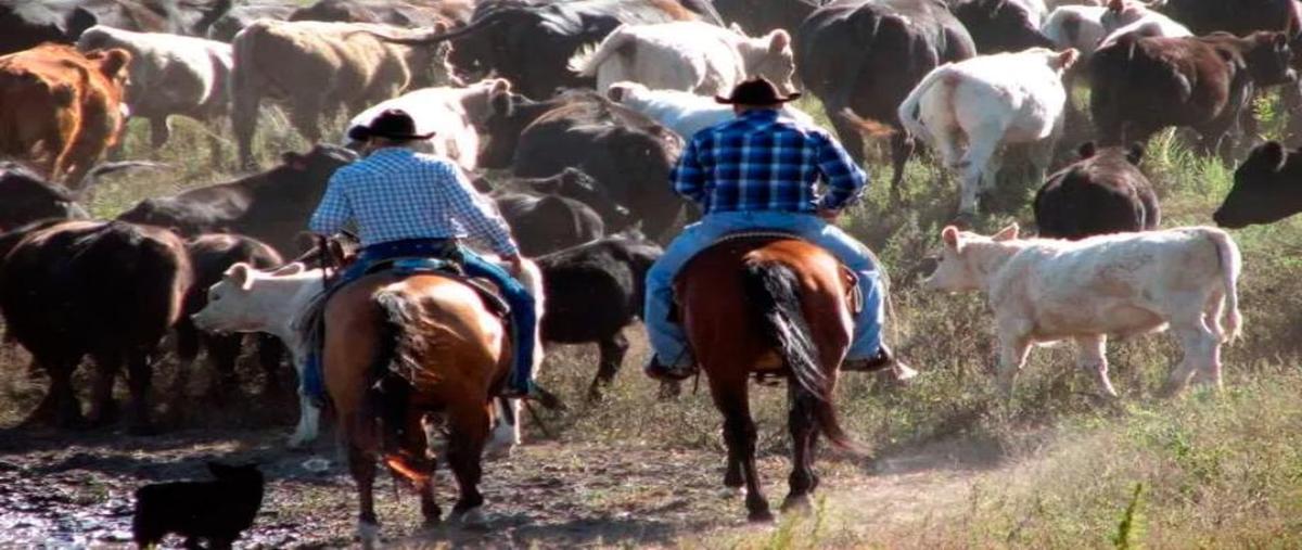 Foto de terreno habitacional en venta en carretera a xalatlaco 100, estación ajusco, tlalpan, df / cdmx, 0 No. 04