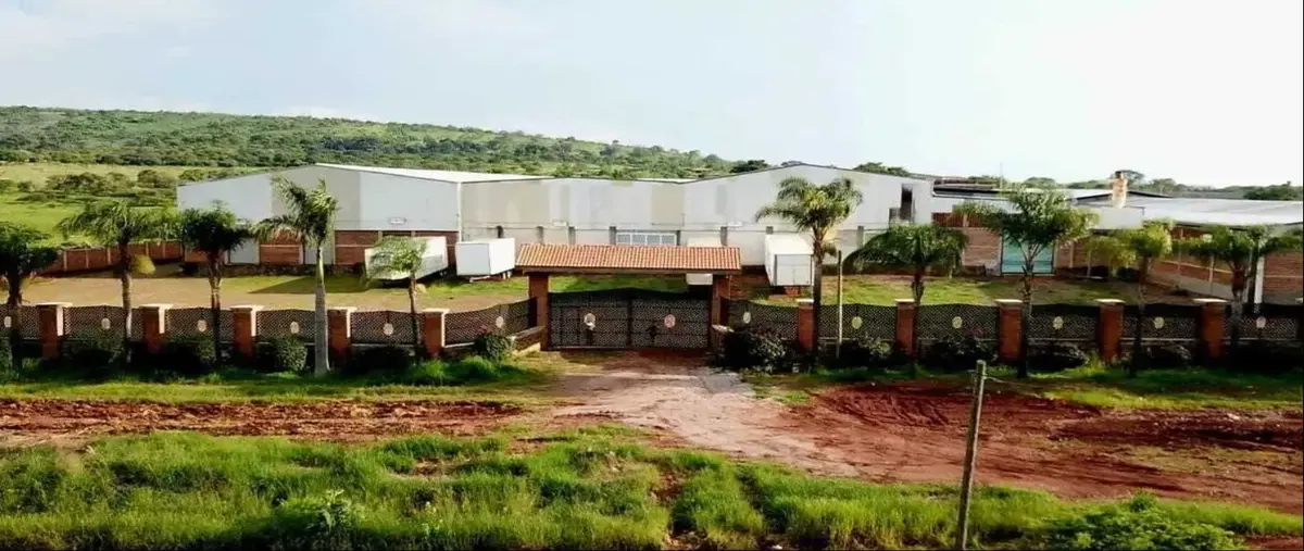 Foto de nave industrial en renta en carretera a zapotlanejo 00, zapotlanejo centro, zapotlanejo, jalisco, 0 No. 04