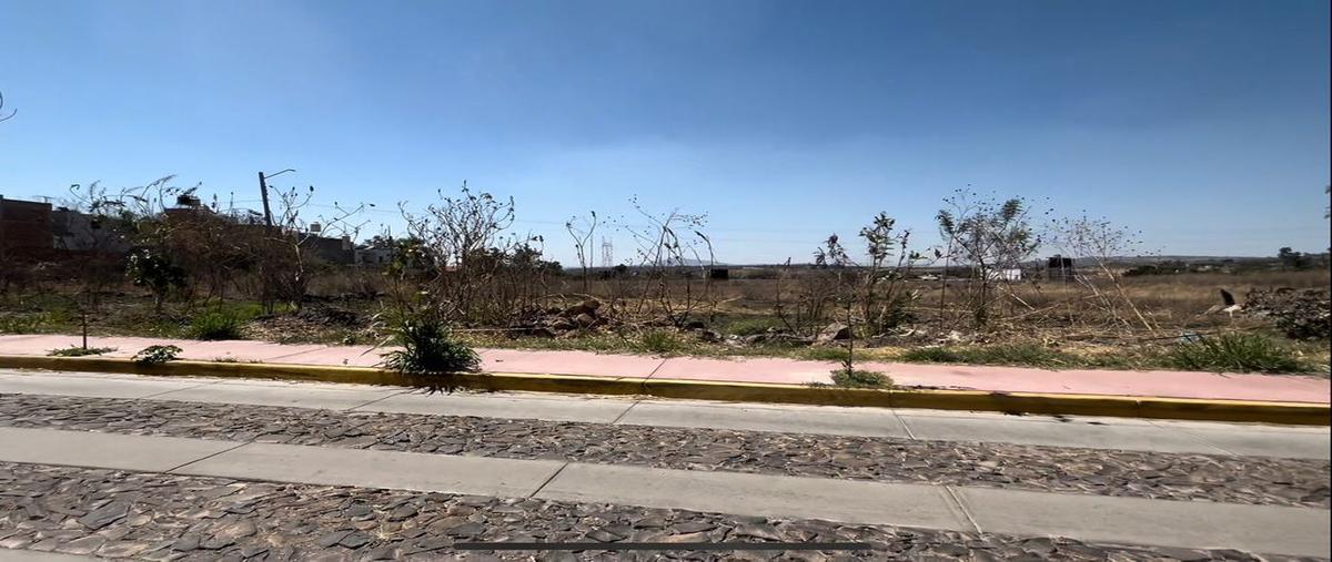 Foto de terreno comercial en venta en carretera a zapotlanejo , la morita, zapotlanejo, jalisco, 0 No. 04