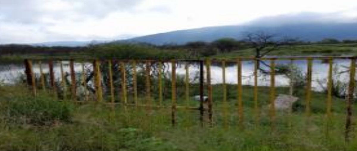 Foto de terreno habitacional en carretera acatlan - zacoalcoparcela 126 z , acatlan de juárez, acatlán de juárez, jalisco, 27851120 foto 03 Foto de terreno habitacional en venta en carretera acatlan - zacoalcoparcela 126 z , acatlan de juárez, acatlán de juárez, jalisco, 27851120 No. 03
