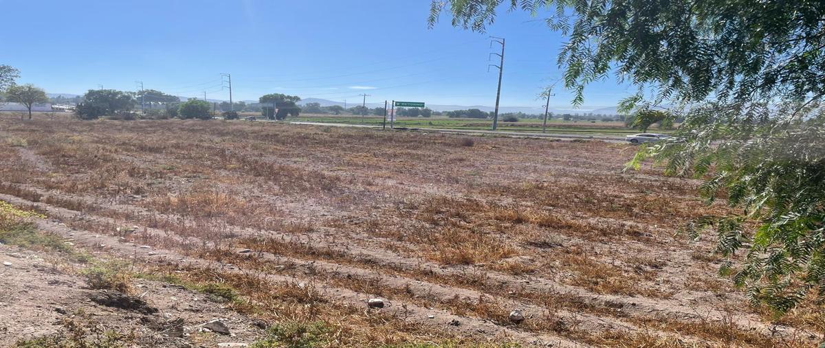 Foto de terreno comercial en venta en carretera actocpan-ixmiquilpan , el daxtha, actopan, hidalgo, 31579891 No. 04